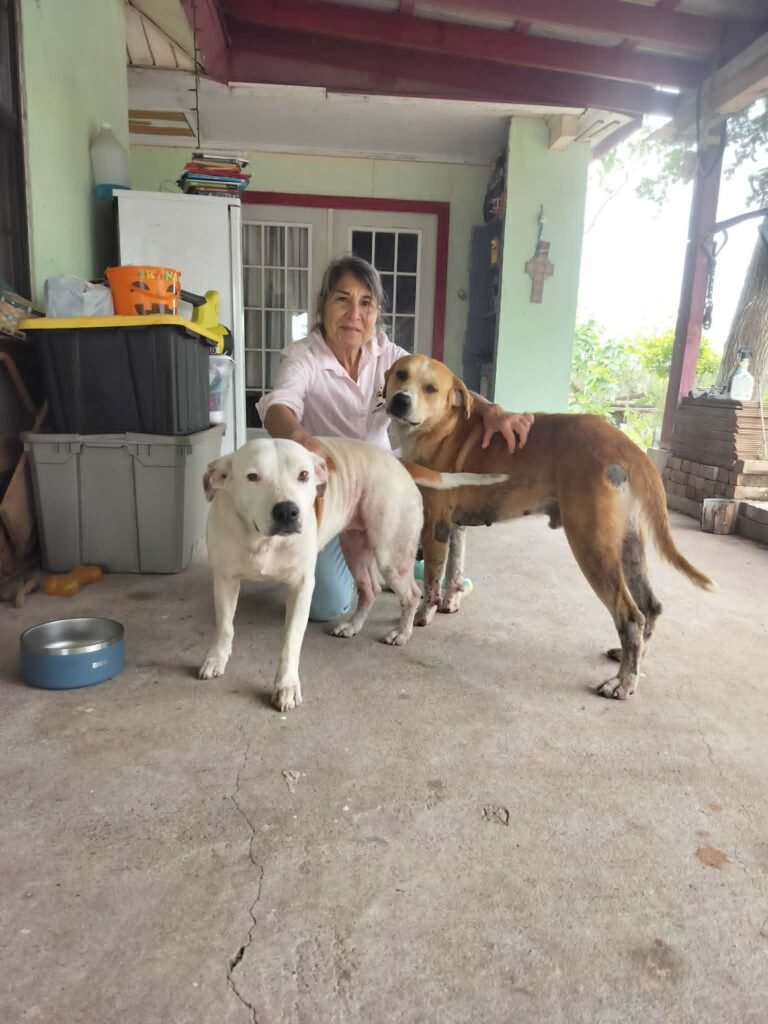 Neighbors Helping Street Pups of Corpus Christi